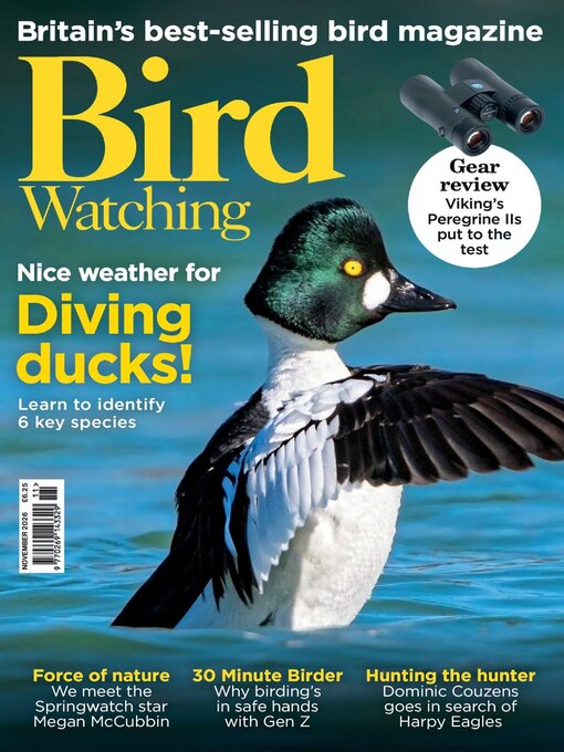 Cover image for Bird Watching 